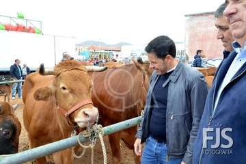 Los Llanos de Telde, en el día grande de sus fiestas patronales de 2019 (Foto Francisco Javier Santana)
